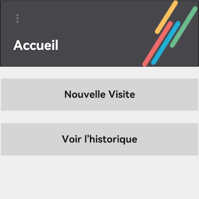 Capture d'écran de l'accueil de l'application mobile Appli Audit, avec les options 'Nouvelle visite' et 'Voir l'historique'.